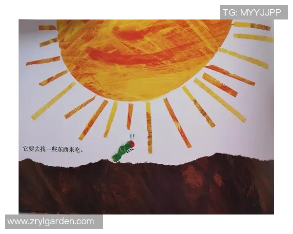 老虎大学与瓜拉达的精彩对决揭示了体育竞技的无限魅力与激情