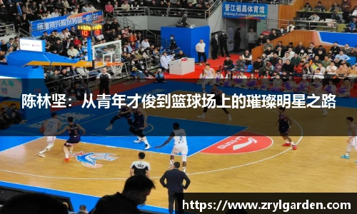 智博19