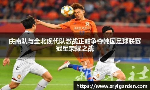 智博19有限公司